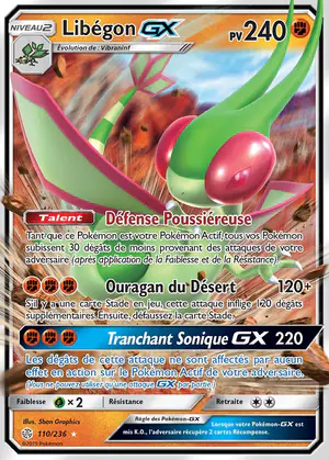 Lib&eacute;gon GX 110/236
