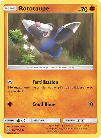 Image de la carte Pokemon Rototaupe 114/236