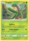 Image de la carte Tropius 12/236
