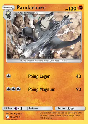 Pandarbare 120/236