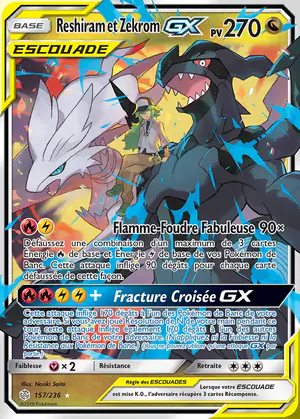 Reshiram et Zekrom GX 157/236
