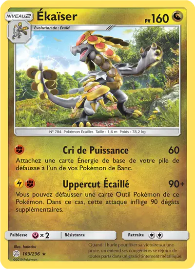 Image de la carte Pokemon Ékaïser 163/236