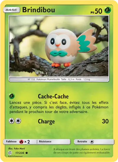 Image de la carte Pokemon Brindibou 17/236