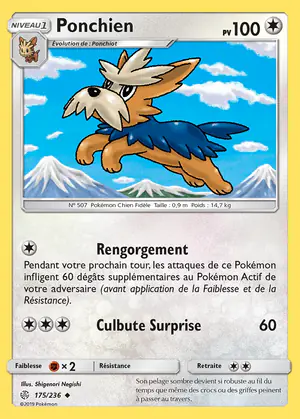 Ponchien 175/236