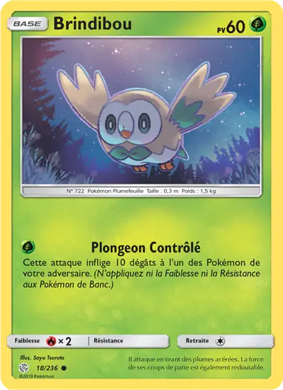 Image de la carte Pokemon Brindibou 18/236