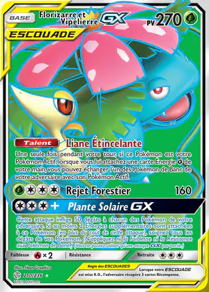 Florizarre et Vip&eacute;lierre GX 210/236