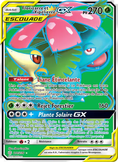 Image de la carte Pokemon Florizarre et Vipélierre GX 210/236