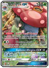 Image de la carte Rafflesia GX 211/236
