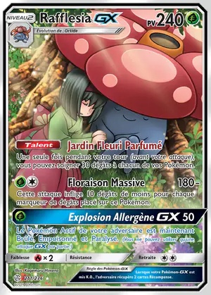 Rafflesia GX 211/236