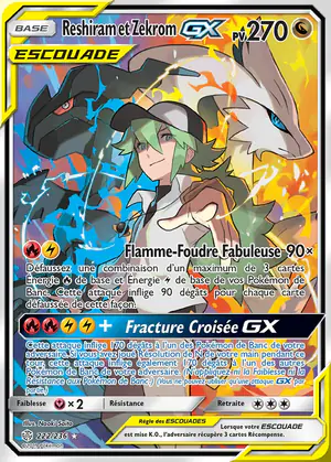 Reshiram et Zekrom GX 222/236