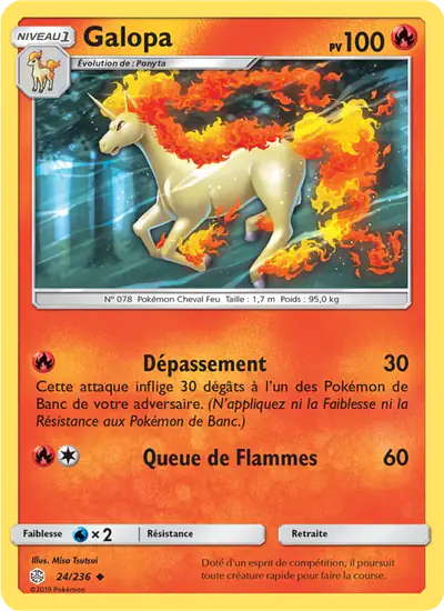 Image de la carte Pokemon Galopa 24/236