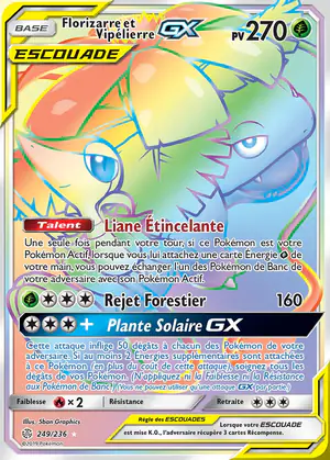 Florizarre et Vip&eacute;lierre GX 249/236