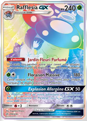 Rafflesia GX 250/236