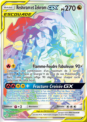 Reshiram et Zekrom GX 259/236