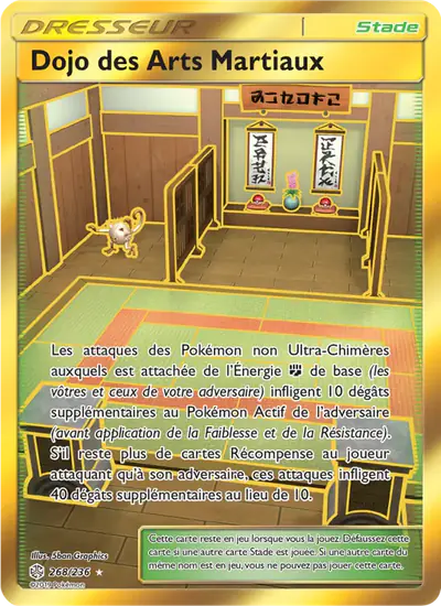 Image de la carte Pokemon Dojo des Arts Martiaux 268/236