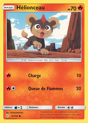 H&eacute;lionceau 36/236