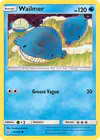 Image de la carte Wailmer 45/236