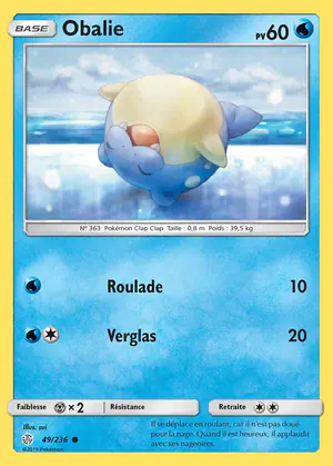Obalie 49/236