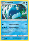Image de la carte Prinplouf 55/236