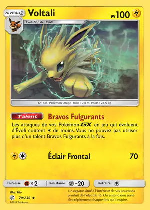 Voltali 70/236