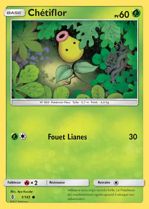 Ch&eacute;tiflor 1/145