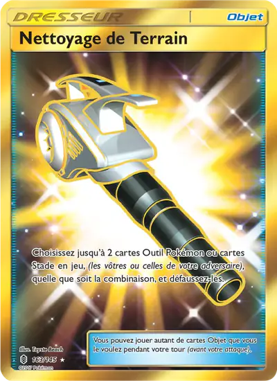 Image de la carte Pokemon Nettoyage de Terrain 163/145