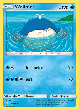 Wailmer 29/145