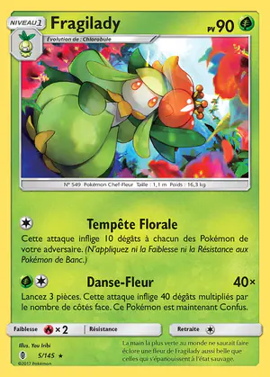 Fragilady 5/145