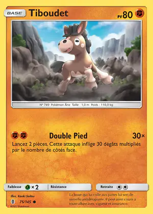 Tiboudet 75/145