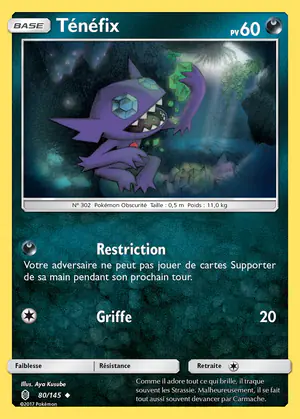 T&eacute;n&eacute;fix 80/145