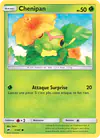 Image de la carte Chenipan 1/147