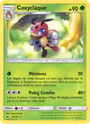 Image de la carte Coxyclaque 10/147