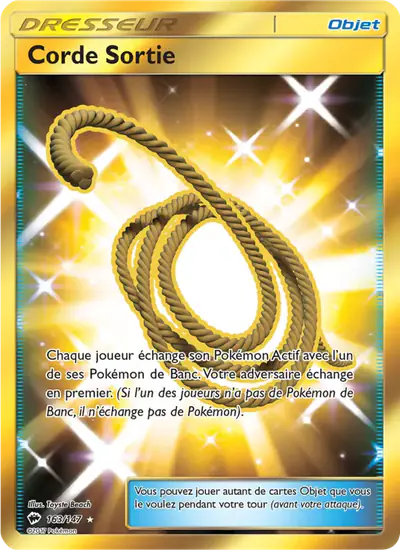 Image de la carte Pokemon Corde Sortie 163/147