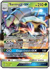 Image de la carte Sarmuraï GX 17/147