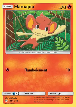 Flamajou 22/147
