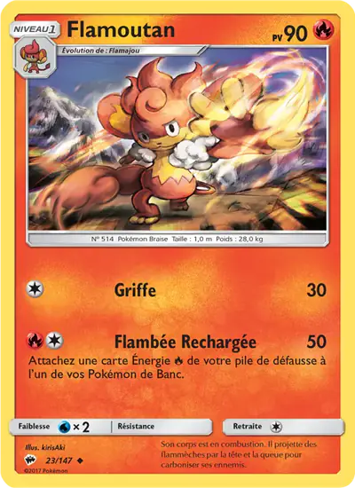 Image de la carte Pokemon Flamoutan 23/147