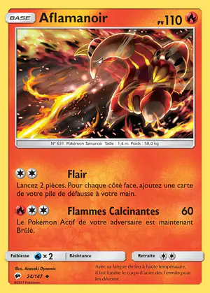Aflamanoir 24/147