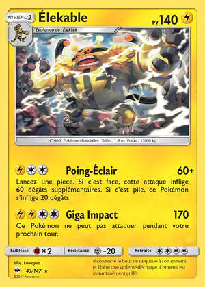 &Eacute;lekable 43/147
