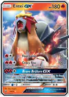 Image de la carte Entei GX 10/73