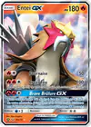 Image de la carte Entei GX 10a/73