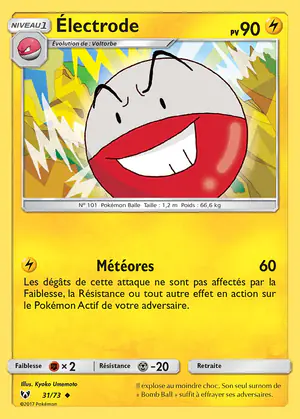 &Eacute;lectrode 31/73
