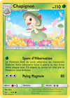 Image de la carte Chapignon 5/73