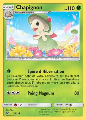 Chapignon 5/73