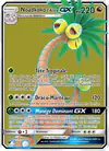 Image de la carte Noadkoko d'Alola GX 107/111