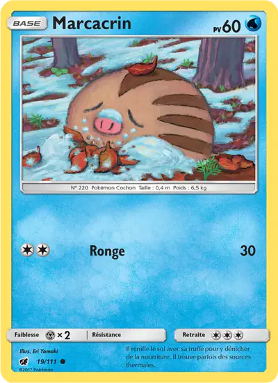 Image de la carte Pokemon Marcacrin 19/111