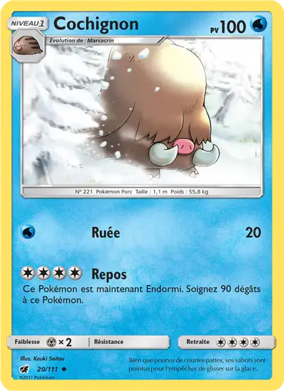 Image de la carte Pokemon Cochignon 20/111