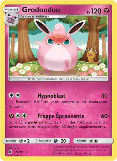 Image de la carte Pokemon Grodoudou 72/111