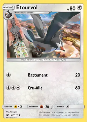 &Eacute;tourvol 82/111
