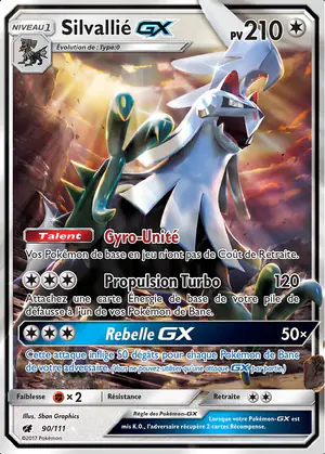 Silvalli&eacute; GX 90/111