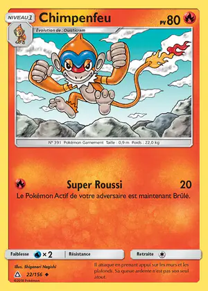 Chimpenfeu 22/156